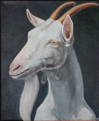Koza